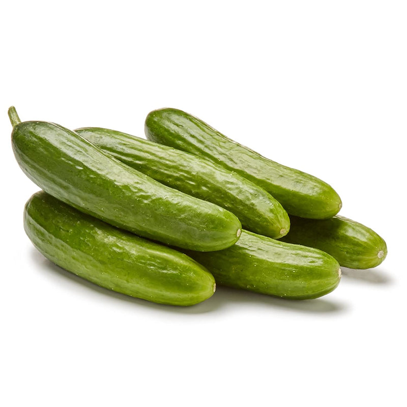 Persian Cucumber