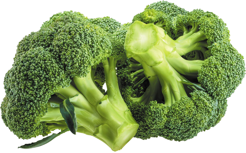 Broccoli