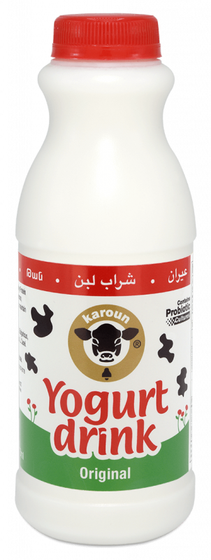 Karoun Yogurt Drink Plain 1pt