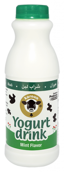 Karoun Yogurt Drink Mint 1pt