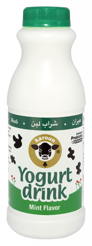 Karoun Yogurt Drink Mint 1pt