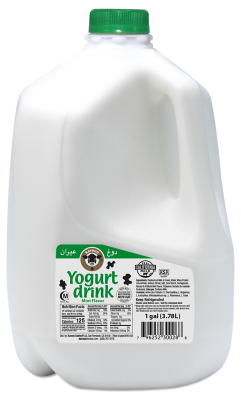 Karoun Yogurt Drink Mint 1G