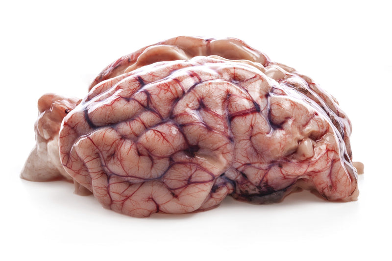 Lamb Brain