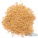 Mustard Seeds